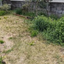 庭　雑草 ＆ 芝 刈り