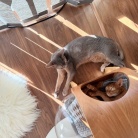 宇宙船の中と外、お昼寝の場所取り合戦