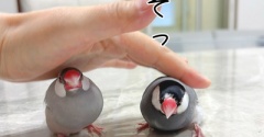仲が悪くない時の写真こそ