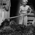 コンディショニングトレーナー小林さくらのブログ〜エッセンシャルトーク〜