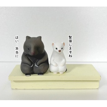 シロ子ちゃんが立ち上げた企画