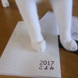 『お庭の表面仕上げの吉凶 ー運に関わる土地の呼吸ー』の画像