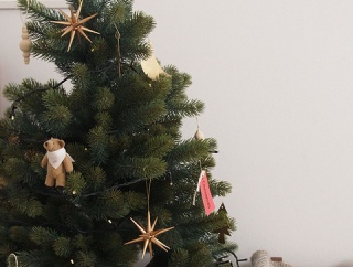 部屋がふわっと明るくなった日。ツリーを飾る理由