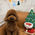 大阪府 ペットショップワンラブ ららぽーと堺店スタッフブログ