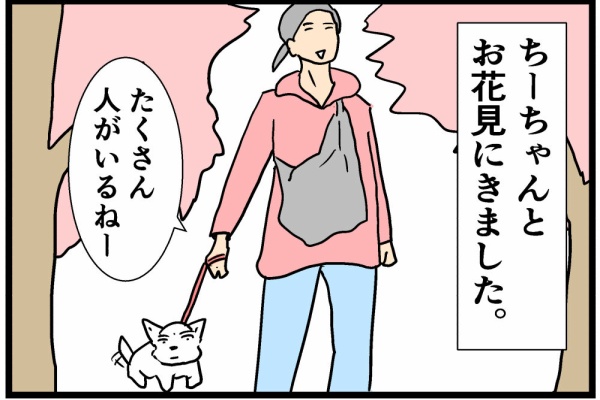 ちいちゃんです。 🐶ちーちゃんスマイル健在ですけどもっ！ 人間もわんこも疲れ