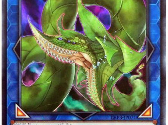 【遊戯王】アナコンダエルフを解放しろ