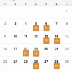 ボーシュマン日記