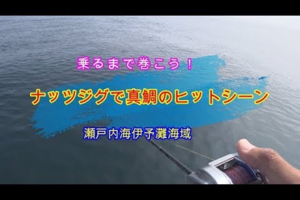 Fishing My Life 真鯛ジギング