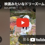 玲奈のフォトブック。変な日本語を使っているので見られたくない(定期。