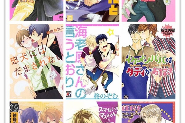 BL漫画 まとめ売り 2冊以上連載している作品集