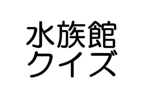 水族館クイズ この水槽がどの水族館か分かりますか 主食は水族館です