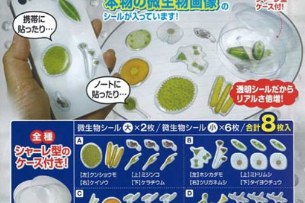 微生物で個性爆発 カプトイニュース