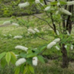 岩殿満喫クラブ　岩殿 Day by Day