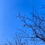 スパークリングLIFE〜思考整理でママに時間と心の余裕を♡