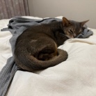 パジャマの上着取られちゃった(*´ω`*)