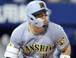 佐藤輝明、31安打の内19本が長打で草