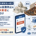 【山添拓議員まで賛成とは...】SNS規制法 参議院でれいわのみ反対