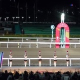 『地方競馬メインレースと最終レースの鬼！　検証レビュー』の画像