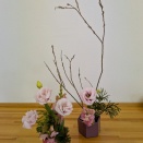 春一番の花はー1