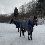 『楽しみな収牧』の画像