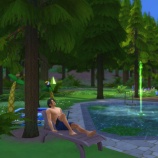 『【SolSeed2-⑩】森の中のオアシス』の画像