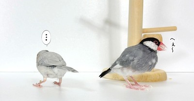 どんな嫌味が通用するのか