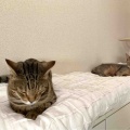 事件の現場に目撃者？