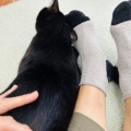 Yさんのお当番日記『単純なところもある』。