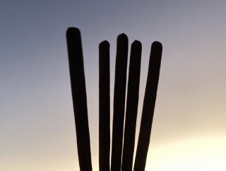 ブログ建ててから5周年、ありがたや