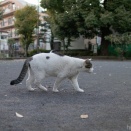 ご挨拶