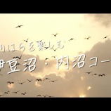 『♪くりはらを楽しむ伊豆沼・内沼コース動画公開中!』の画像