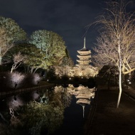 【京都】1ヶ月だけの幻想的な世界　～東寺月回廊