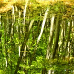 日本の原風景