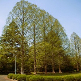 お星様のなんでも探検