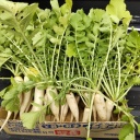 �����ε������ޤ굤̣���ä����θ����纬�δְ������(^_^)