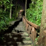 小心者、オッサン乗り鉄一人旅