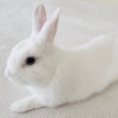 なんかちょっと嬉しい