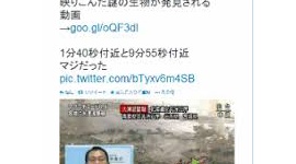 「津波ニュースに謎の生物」「Mステ出演禁止歌手一覧」　Twitterで拡散するデマにご用心