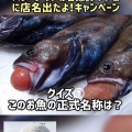 鉄腕ダッシュにスターダイブ店名が出たよ！キャンペーン開始