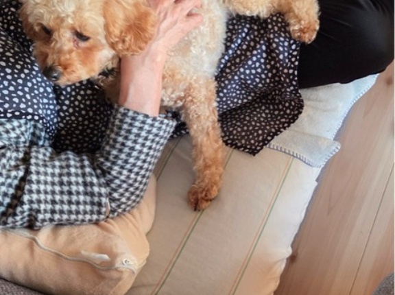 プーリとチャンプのトライアル日記💓