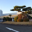 今年の最終ラウンド有馬冨士ＣＣで