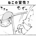 うちの犬のルカ。【６７】