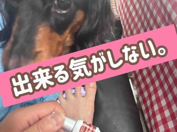 このムスメは…