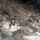 「撮り納め」・・・天狗原へ