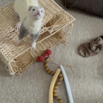 もにっき（旧うにっき）