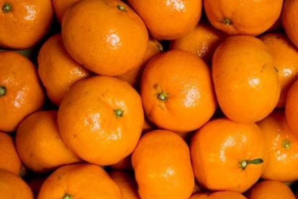この差って何ですか みかんがオレンジ色のネットで売られている理由 ポイントは同化現象 オクラやニンニクを売る際にも使われる驚くべき目の錯覚 １９８６０７０７ Powered By ライブドアブログ