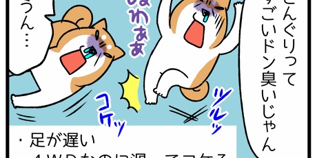 柴犬どんぐり三毛猫たんぽぽ 目覚める野性 Powered By ライブドアブログ
