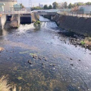 ������������