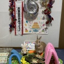 2025.12.5クララ６歳の誕生日