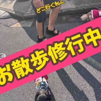 ただいま修行中。